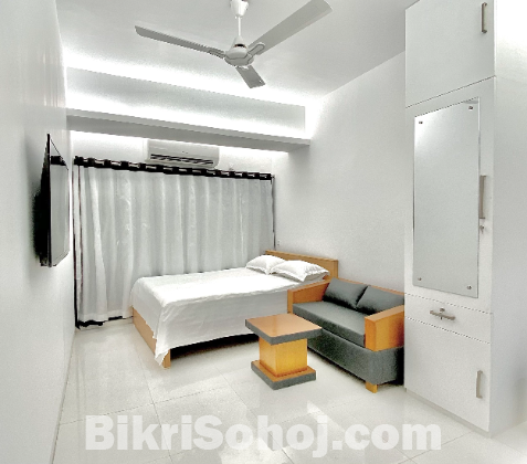 Fully Furnished Studio Apartments For Rent